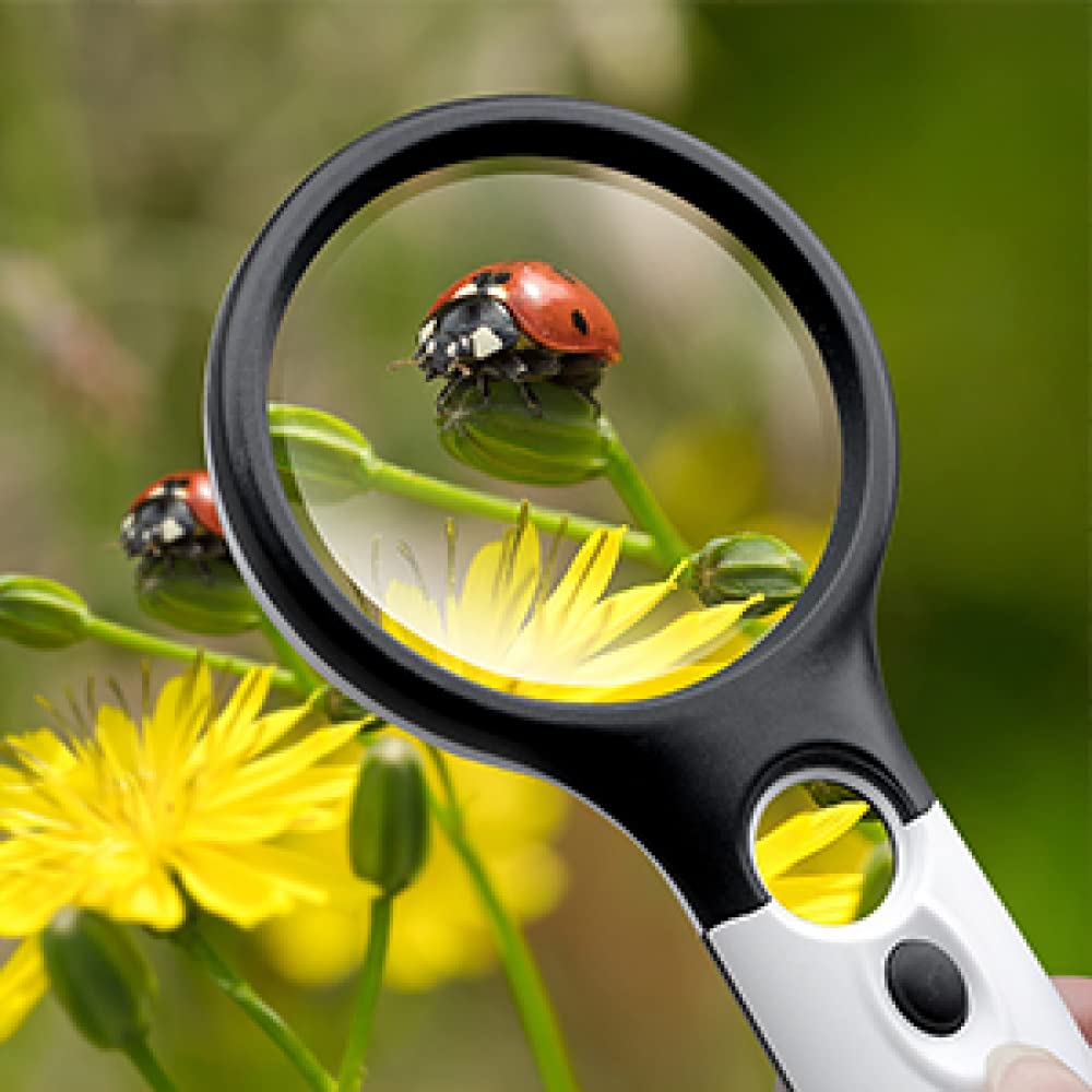 Magnifying Glass with Light, 3X & 45X Dual Lens High Magnification Real Glass for Reading, Jewelry, Coins, Stamps, Crafts and Daily Close Work