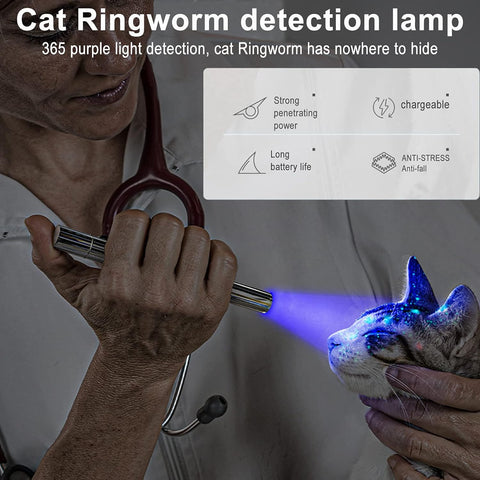 Black Light UV Flashlight 365nm Portable Ultraviolet Torch for Fungus, Fluorescent Dye Detection and Pet Urine Stain Detection