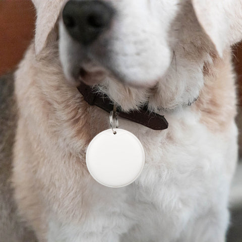 Mini Item & Cat GPS Collar Tracker - No Monthly Fee App Locator, Waterproof IP67 Real-Time Tracking with iOS/Android Compatibility & Long Battery Life