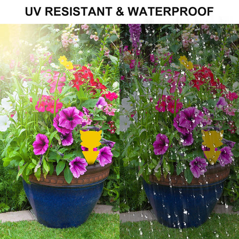 100PCS Dual-Sided Yellow Sticky Traps, Disposable Glue Insect Catcher for Indoor & Outdoor Plants, Fly Gnat Aphid Trap Sticky Pad