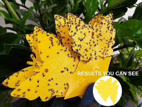 100PCS Dual-Sided Yellow Sticky Traps, Disposable Glue Insect Catcher for Indoor & Outdoor Plants, Fly Gnat Aphid Trap Sticky Pad