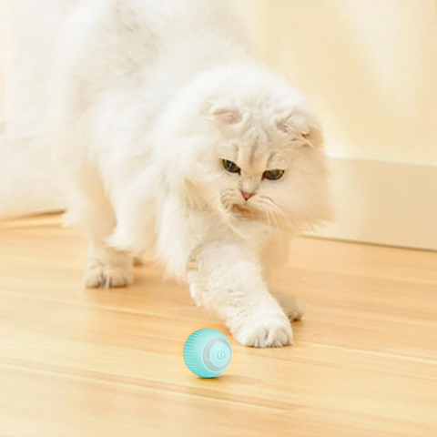 Interactive Cat Toy Ball  Automatic 360° Self-Rotating Rolling Ball with LED Lights, Type-C Rechargeable Indoor Pet Exercise Chase Toy Ball for Kittens & Dogs