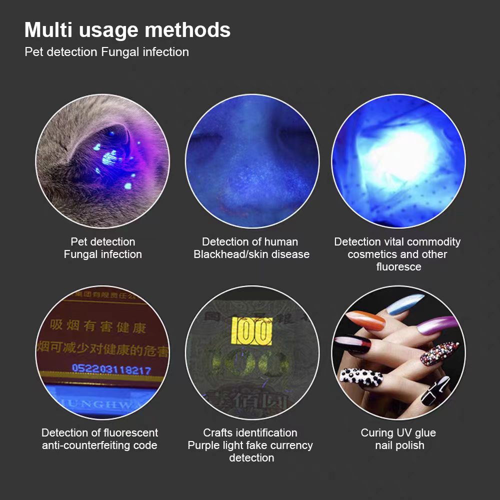 Black Light UV Flashlight 365nm Portable Ultraviolet Torch for Fungus, Fluorescent Dye Detection and Pet Urine Stain Detection