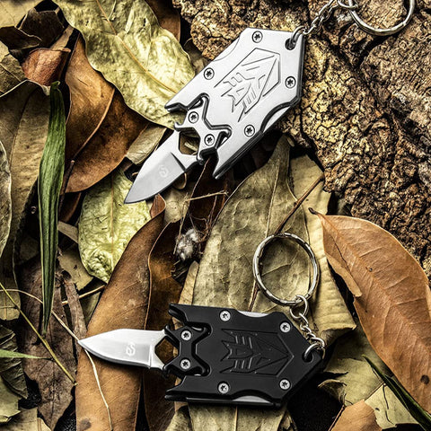 Mini Folding Knife with Detachable Blade, Stainless Steel Camping Knife, Multi-Purpose Keychain Knife