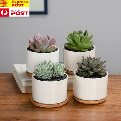 mini succulent pots bulk australia 4 Pack White Succulent Plant Pots,Mini 3.5in Ceramic Flower Pot with B – Housefibre