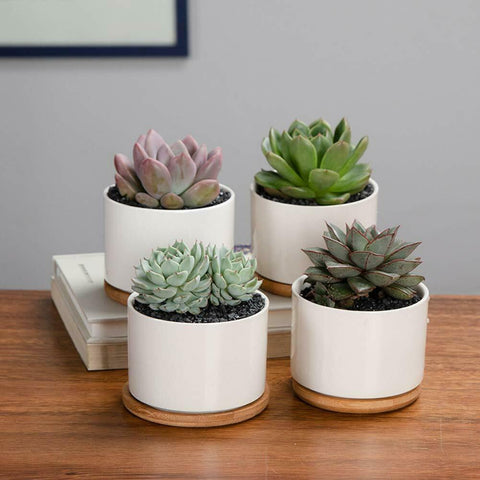 POPETPOP 4Pcs Mini Terracotta Succulent Pots For Plants