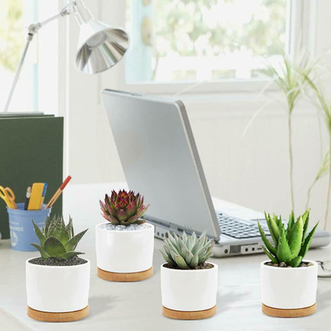 white mini plant pots 4 Pack White Succulent Plant Pots,Mini 3.5in Ceramic Flower Pot with B – Housefibre