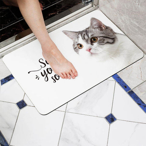 Super Absorbent Floor Mat for Bathroom Non Slip, Diatomaceous Bath Shower Rugs Mats Fast Drying Non-Skid Waterproof Kitchen Mats and Rugs,Cat Carpet